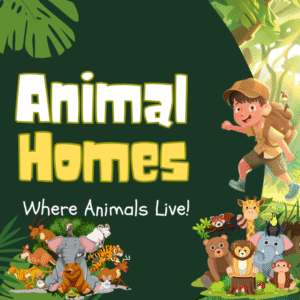 Animal Homes: Where Animals Live