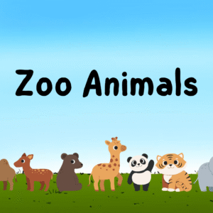 Zoo Animals