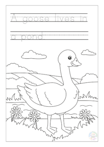 Animal Habitats Writing and Coloring Book