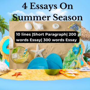 Summer Season Essay Printable PDF