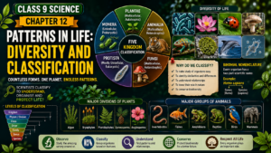Class 9 Science Chapter 12